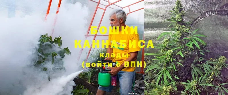 продажа наркотиков  Бокситогорск  Канабис OG Kush 